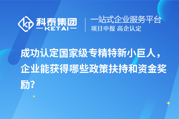 成功認定國家級專精特新小巨人，企業(yè)能獲得哪些政策扶持和資金獎勵？