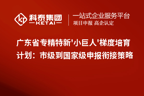 廣東省專精特新'小巨人'梯度培育計(jì)劃:市級(jí)到國(guó)家級(jí)申報(bào)銜接策略