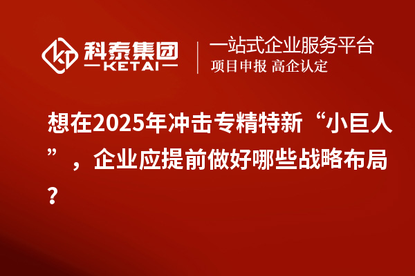 想在2025年沖擊專精特新 “小巨人”，企業(yè)應提前做好哪些戰(zhàn)略布局？