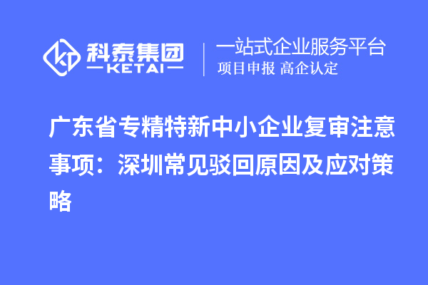廣東省專精特新中小企業(yè)復(fù)審注意事項(xiàng):深圳常見駁回原因及應(yīng)對(duì)策略