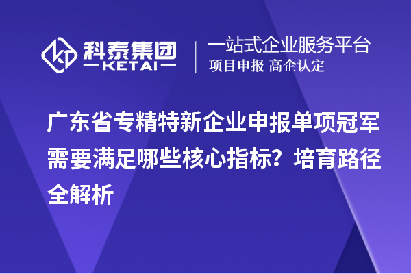 廣東省專精特新企業(yè)申報單項冠軍需要滿足哪些核心指標？培育路徑全解析