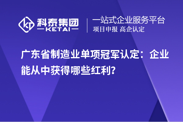 廣東省制造業(yè)單項冠軍認定：企業(yè)能從中獲得哪些紅利？