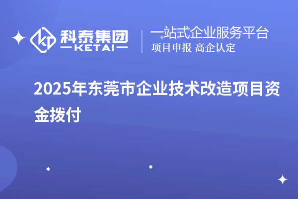 2025年東莞市企業(yè)技術(shù)改造項目資金撥付