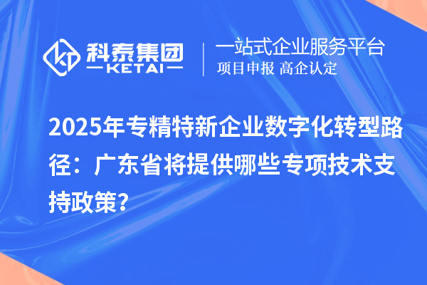 2025年專精特新企業(yè)數(shù)字化轉(zhuǎn)型路徑：廣東省將提供哪些專項技術(shù)支持政策？