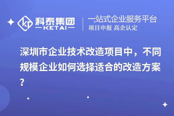 深圳市企業(yè)技術改造項目中，不同規(guī)模企業(yè)如何選擇適合的改造方案？