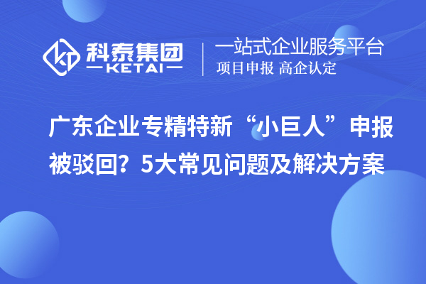廣東企業(yè)專精特新“小巨人”申報被駁回？5大常見問題及解決方案
