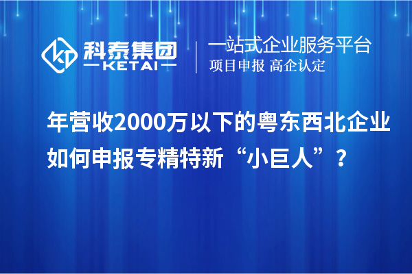 年?duì)I收2000萬(wàn)以下的粵東西北企業(yè)如何申報(bào)專(zhuān)精特新“小巨人”？