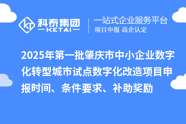 2025年第一批肇慶市中小企業(yè)數(shù)字化轉(zhuǎn)型城市試點(diǎn)數(shù)字化改造項(xiàng)目申報(bào)時(shí)間、條件要求、補(bǔ)助獎(jiǎng)勵(lì)