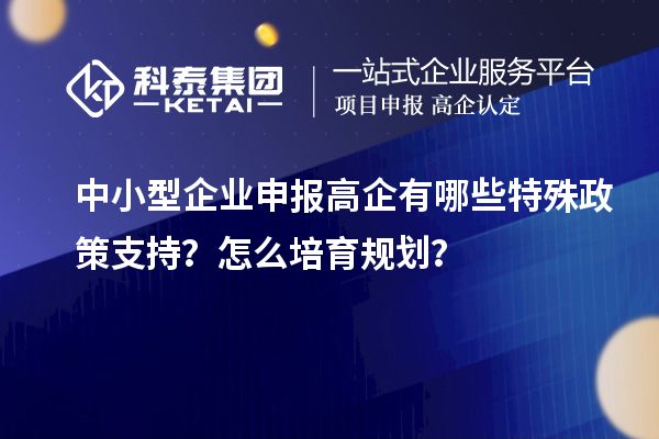 中小型企業(yè)申報高企有哪些特殊政策支持？怎么培育規(guī)劃？