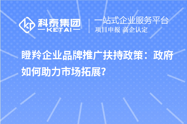 瞪羚企業(yè)品牌推廣扶持政策：政府如何助力市場拓展？