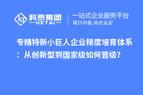專精特新小巨人企業(yè)梯度培育體系：從創(chuàng)新型到國家級如何晉級？