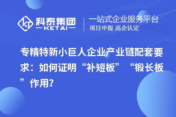 專精特新小巨人企業(yè)產(chǎn)業(yè)鏈配套要求：如何證明“補短板”“鍛長板”作用？