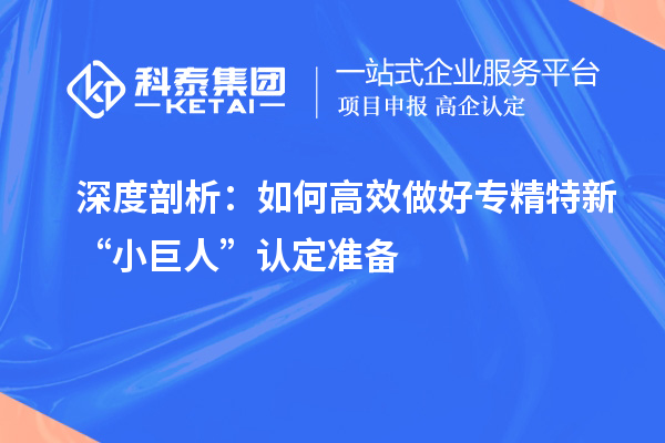 深度剖析：如何高效做好專精特新“小巨人”認定準備