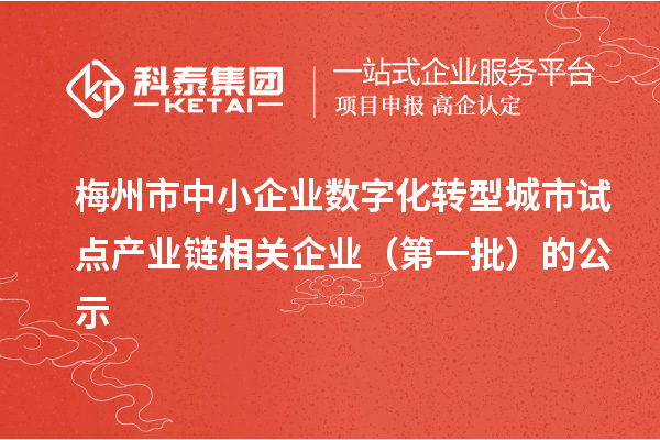 梅州市中小企業(yè)數(shù)字化轉型城市試點產(chǎn)業(yè)鏈相關企業(yè)(第一批)的公示