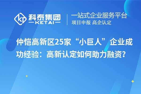 仲愷高新區(qū)25家“小巨人”企業(yè)成功經驗：高新認定如何助力融資？