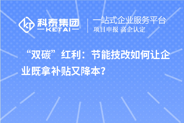 “雙碳”紅利：節(jié)能技改如何讓企業(yè)既拿補(bǔ)貼又降本？