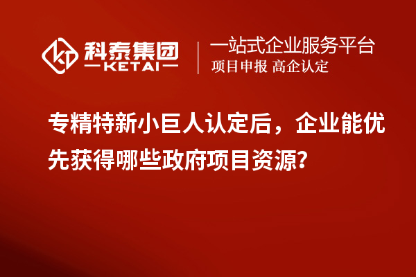 專精特新小巨人認(rèn)定后，企業(yè)能優(yōu)先獲得哪些政府項目資源？