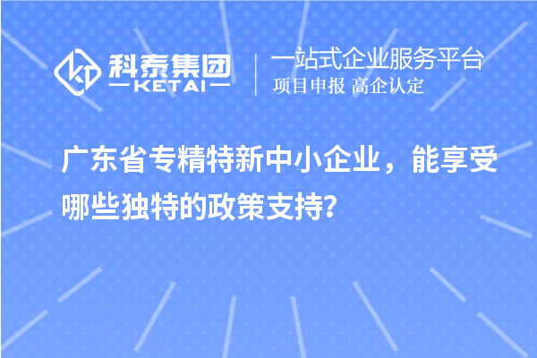 廣東省專精特新中小企業(yè)，能享受哪些獨特的政策支持？