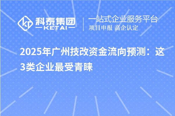 2025年廣州技改資金流向預(yù)測(cè):這3類企業(yè)最受青睞