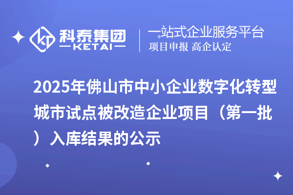 2025年佛山市中小企業(yè)數(shù)字化轉(zhuǎn)型城市試點(diǎn)被改造企業(yè)項(xiàng)目(第一批) 入庫結(jié)果的公示