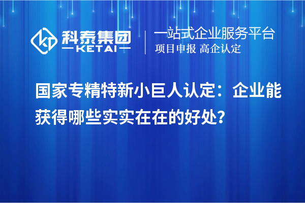 國家專精特新小巨人認(rèn)定：企業(yè)能獲得哪些實實在在的好處？