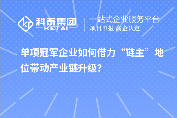 單項(xiàng)冠軍企業(yè)如何借力“鏈主”地位帶動(dòng)產(chǎn)業(yè)鏈升級？