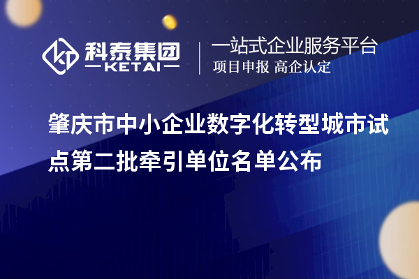 肇慶市中小企業(yè)數(shù)字化轉(zhuǎn)型城市試點第二批牽引單位名單公布