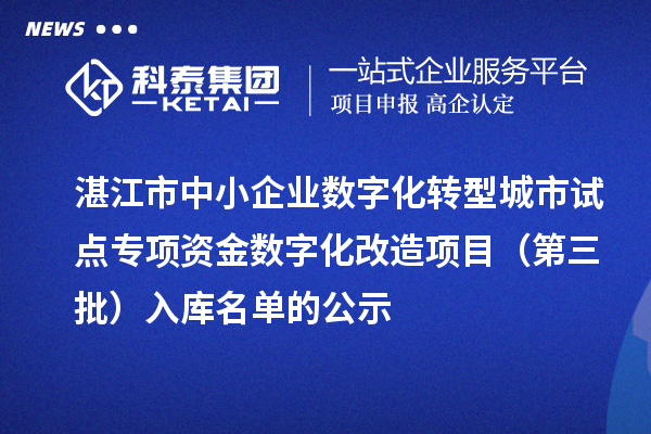 湛江市中小企業(yè)數(shù)字化轉(zhuǎn)型城市試點專項資金數(shù)字化改造項目(第三批)入庫名單的公示