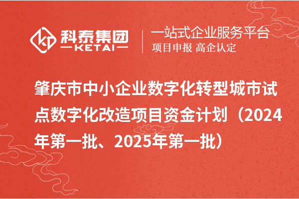 肇慶市中小企業(yè)數(shù)字化轉(zhuǎn)型城市試點(diǎn)數(shù)字化改造項(xiàng)目資金計(jì)劃(2024年第一批、2025年第一批)