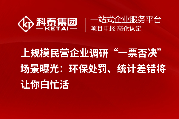 上規(guī)模民營企業(yè)調(diào)研“一票否決”場景曝光：環(huán)保處罰、統(tǒng)計差錯將讓你白忙活