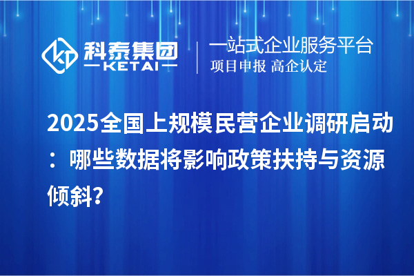2025全國上規(guī)模民營企業(yè)調(diào)研啟動：哪些數(shù)據(jù)將影響政策扶持與資源傾斜？
