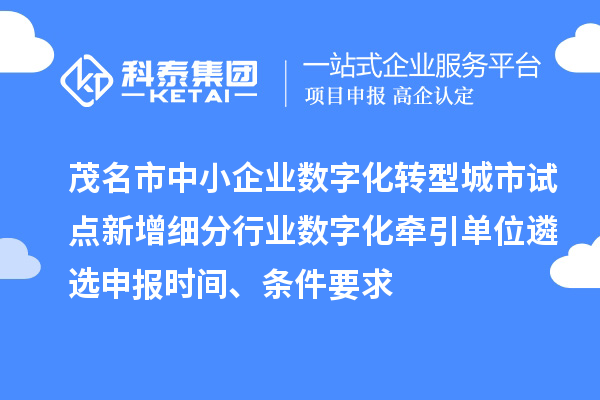 茂名市中小企業(yè)數(shù)字化轉(zhuǎn)型城市試點(diǎn)新增細(xì)分行業(yè)數(shù)字化牽引單位遴選申報(bào)時(shí)間、條件要求