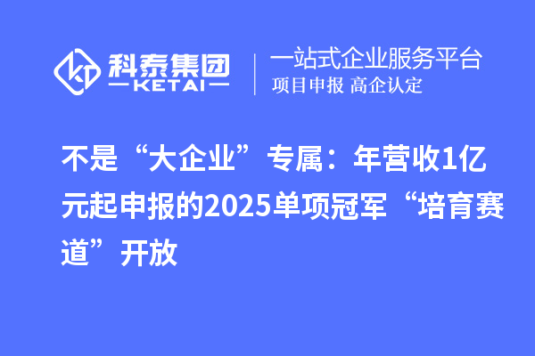 不是“大企業(yè)”專屬：年?duì)I收1億元起申報(bào)的2025單項(xiàng)冠軍“培育賽道”開放