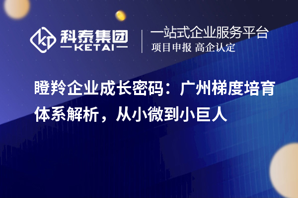 瞪羚企業(yè)成長密碼：廣州梯度培育體系解析，從小微到小巨人