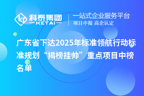 廣東省下達2025年標準領航行動標準規(guī)劃“揭榜掛帥”重點項目中榜名單