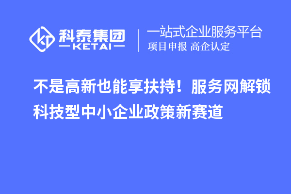 不是高新也能享扶持！服務(wù)網(wǎng)解鎖科技型中小企業(yè)政策新賽道