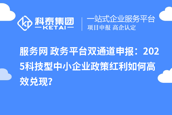 服務(wù)網(wǎng)+政務(wù)平臺雙通道申報(bào)：2025科技型中小企業(yè)政策紅利如何高效兌現(xiàn)？