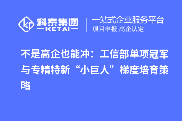 不是高企也能沖：工信部單項冠軍與專精特新“小巨人”梯度培育策略