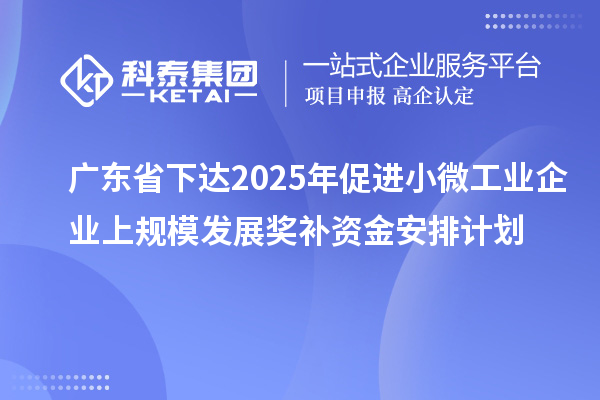 廣東省下達(dá)2025年促進(jìn)小微工業(yè)企業(yè)上規(guī)模發(fā)展獎(jiǎng)補(bǔ)資金安排計(jì)劃