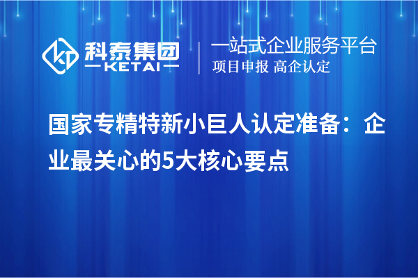 國家專精特新小巨人認(rèn)定準(zhǔn)備：企業(yè)最關(guān)心的5大核心要點(diǎn)