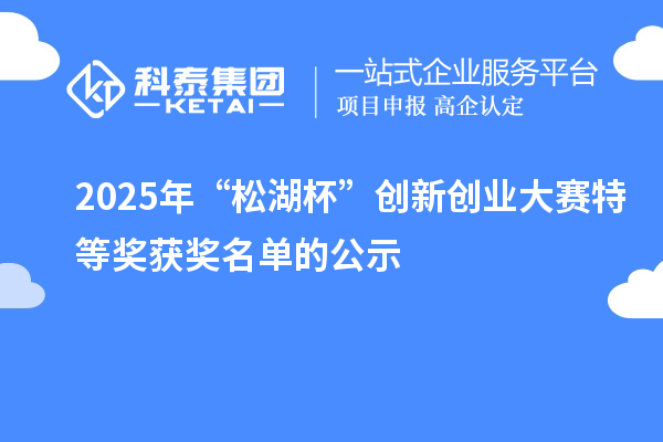 2025年“松湖杯”創(chuàng)新創(chuàng)業(yè)大賽特等獎獲獎名單的公示