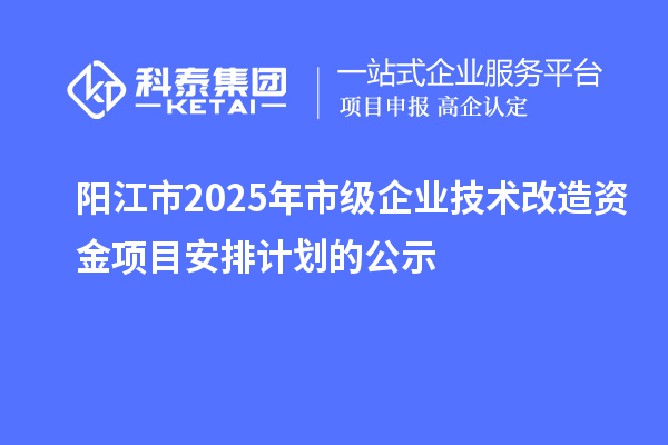 陽江市2025年市級企業(yè)技術(shù)改造資金項目安排計劃的公示